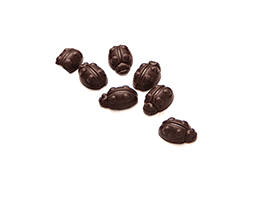 Ladybirds Decorations 3D